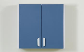 Wall Cabinet with 2 Doors Wall Cabinet with 2 Doors