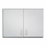 Wall Cabinet with 2 Doors