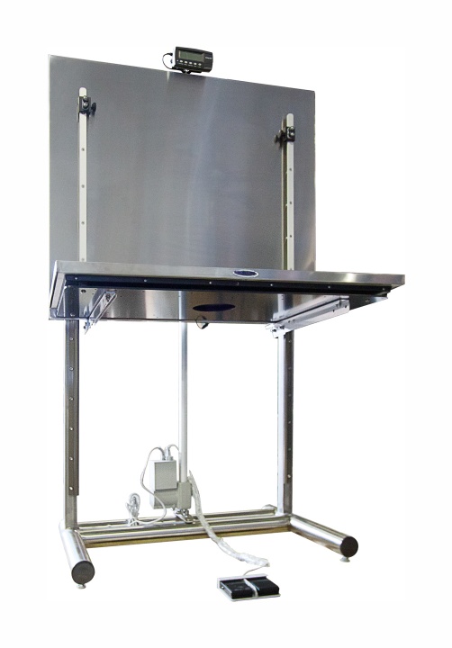 LIFT EXAM TABLE WITH SCALE LIFT EXAM TABLE WITH SCALE