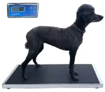 VET TEC 2030 VETERINARY WALK-ON SCALE