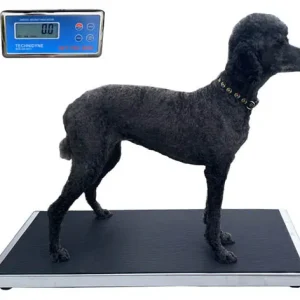 VET TEC 2030 VETERINARY WALK-ON SCALE - VET-TEK 2000