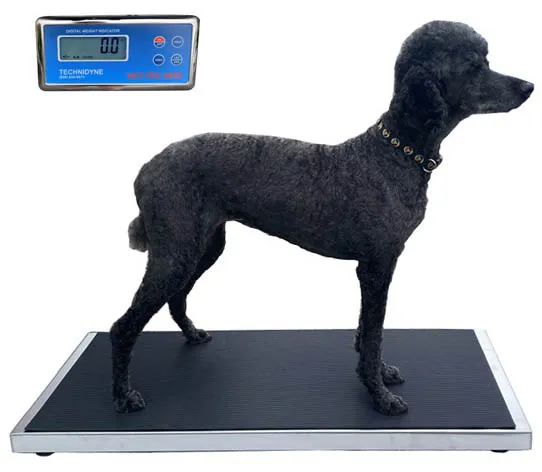 VET TEC 2030 VETERINARY WALK-ON SCALE