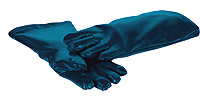 X-RAY GLOVES