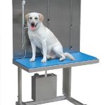 HYDRAULIC LIFT TABLE WITH SCALE