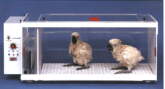 INTENSIVE CARE UNIT/INCUBATOR INTENSIVE CARE UNIT/INCUBATOR