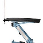 MASTERLIFT Electric Grooming Table with post